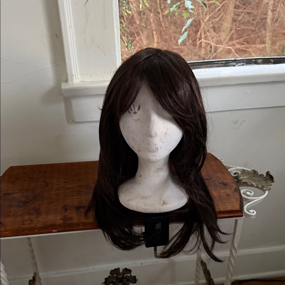 #38 Elegant Silky Brown Women's Wig